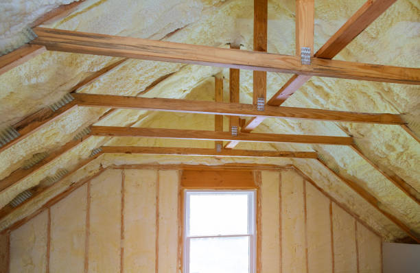 Best Insulation Maintenance and Repair in Syracuse, NY